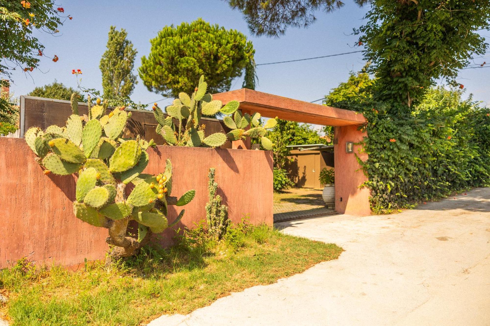 Villa Revita Kourouta Beach Exterior photo